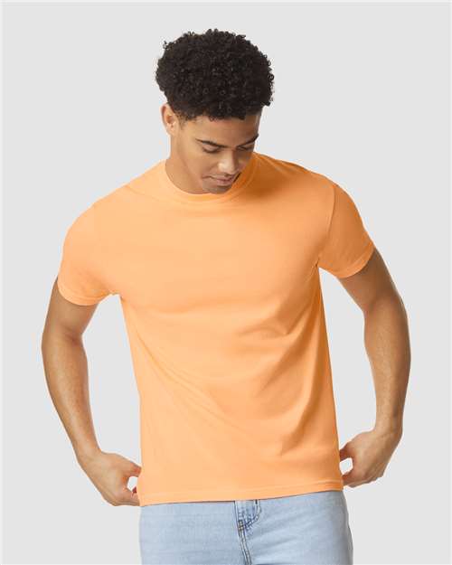 Comfort Colors 1717