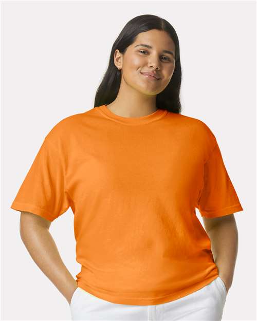 Comfort Colors 1717